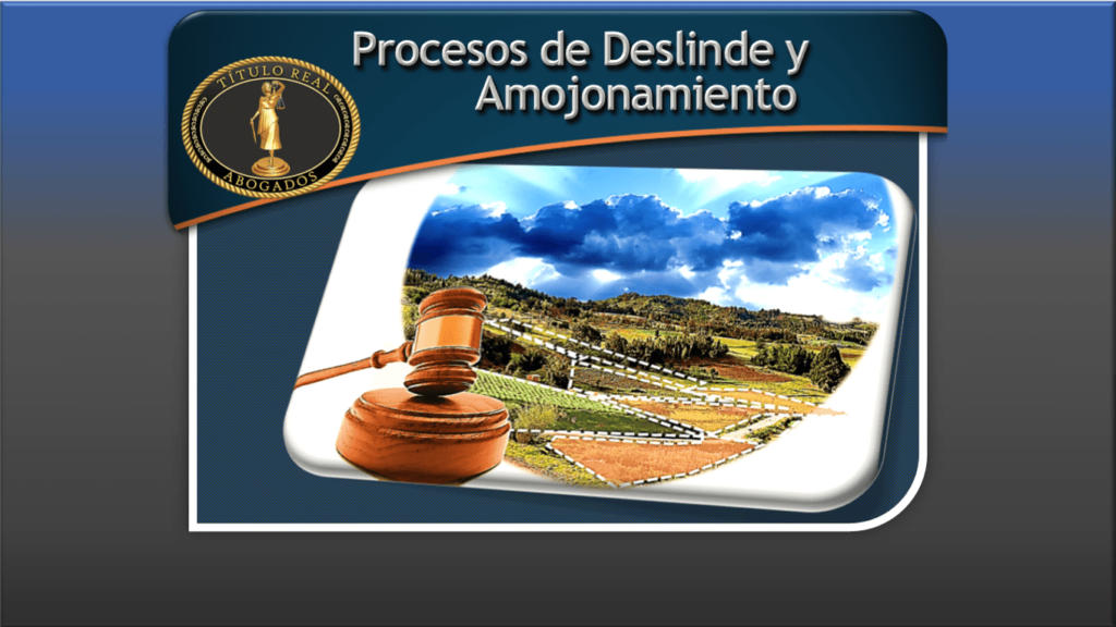 Procesos de Deslinde y Amojonamiento » Título Real